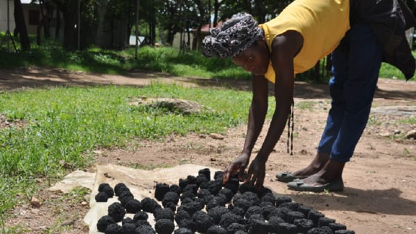 Gender and Climate Justice