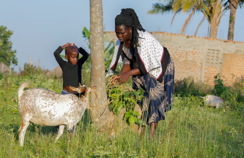 A long-term perspective – prevention of SGBV and empowerment of affected women and girls in the African Great Lakes region